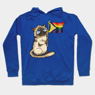 Chocolate Supports Pride Hoodie